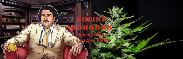 метадон Бородино