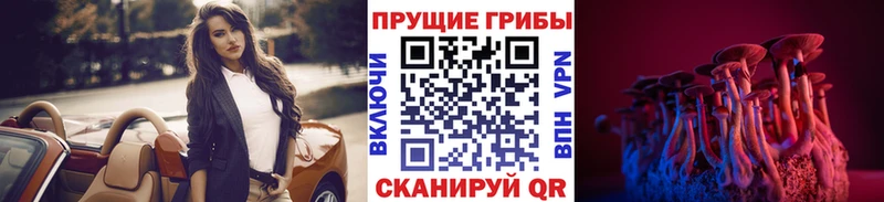 Псилоцибиновые грибы GOLDEN TEACHER  omg зеркало  Кириллов 