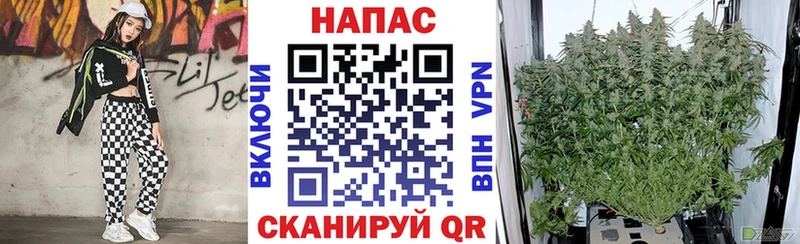 купить наркоту  Кириллов  Марихуана гибрид 